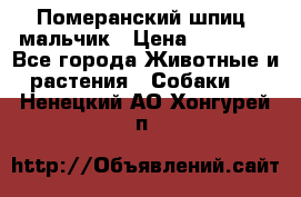 Померанский шпиц, мальчик › Цена ­ 35 000 - Все города Животные и растения » Собаки   . Ненецкий АО,Хонгурей п.